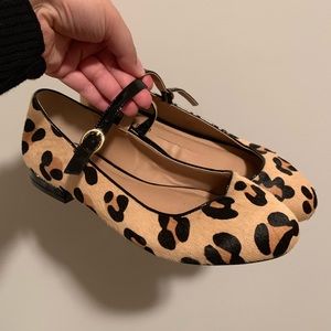 Torrid Flats